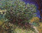 Vincent Van Gogh Bushes Spain oil painting artist
